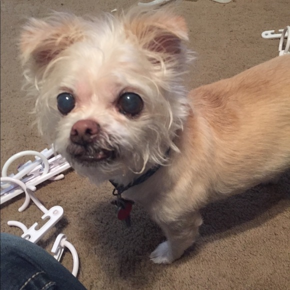 🌟❤️JEFFERSON❤️🌟 - Picture 6 of 13